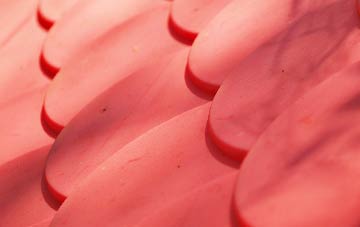 Marsh Green plastic roof costs